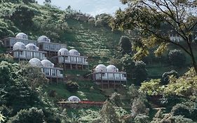 Damar Langit Resort